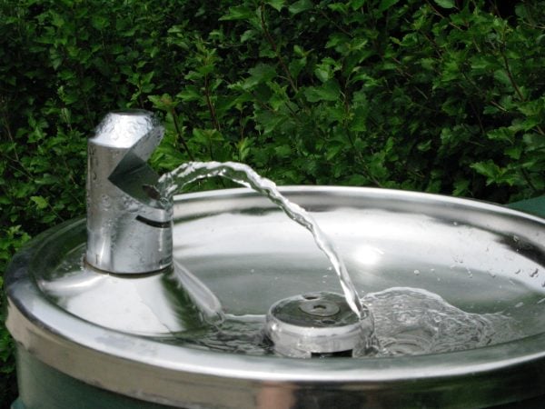 a water fountain with a green bush in the background